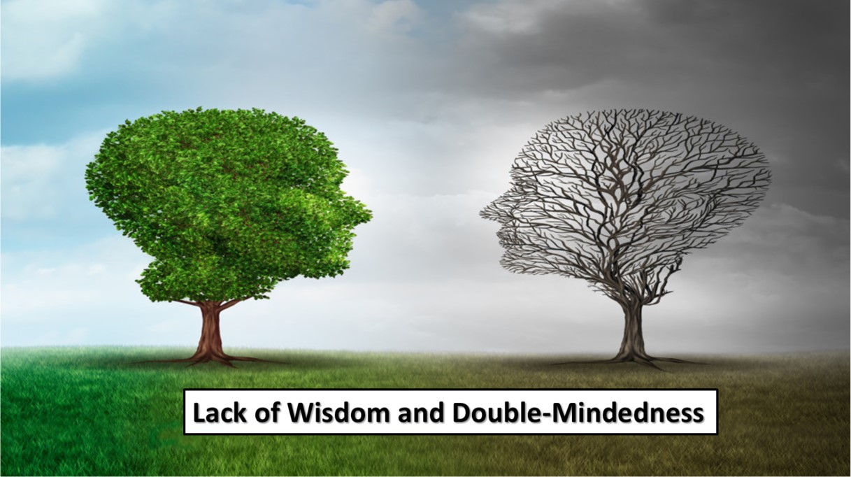 What Causes Double Mindedness