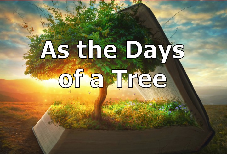 As the Days of a Tree