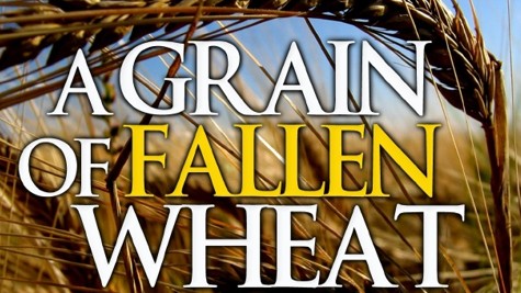 Fallen Grain of Wheat