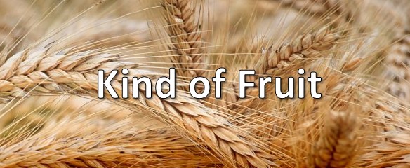 Kind of Fruit