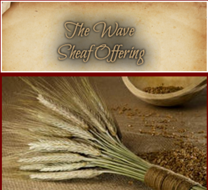 Wave Sheaf Offering
